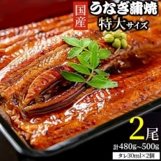 「国産うなぎ蒲焼(特大サイズ)」2尾(480g～500g)