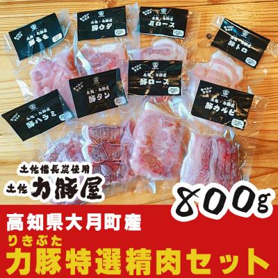 ふるさと納税 大月町 高知県大月町産 力豚 特選精肉セット　8種×100g