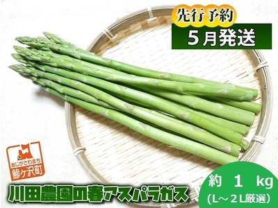 川田農園の春アスパラガス！約1kg（L～2L厳選）青森県鰺ヶ沢町産