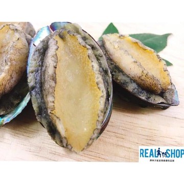 【RealShop 真食材本舖】岩見鮑魚 1kg/約24顆(鍋物 快炒 海鮮粥好食材)