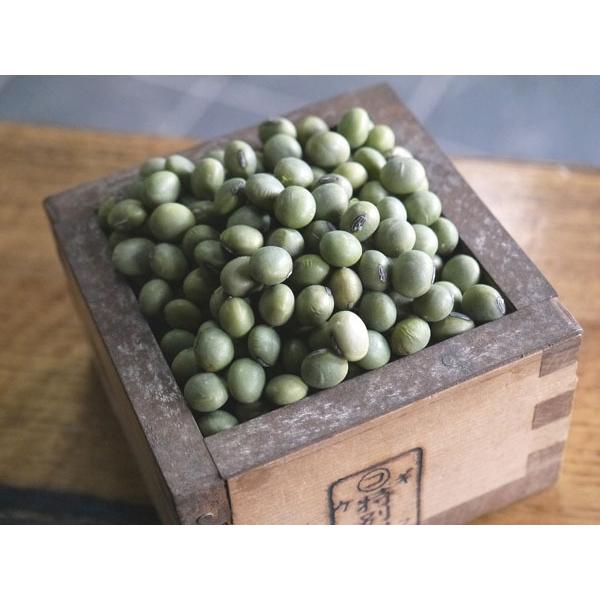 青肌豆 中粒（3kg）