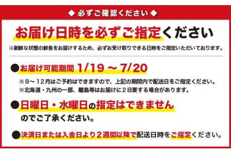 尾鷲産 活アワビ・活サザエセット 1.5kg　HA-54