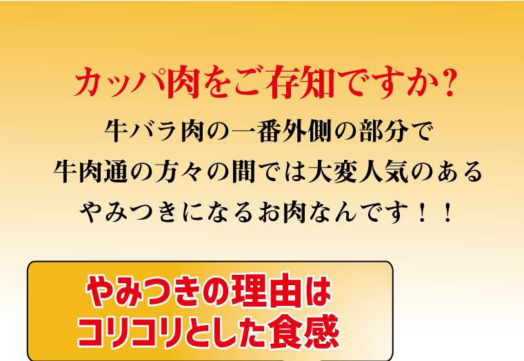 国産牛 カッパ味付け焼肉用500g 味付け 焼肉 BBQ バーベキュー 焼くだけ