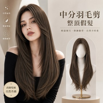 【台灣急速到貨】假髮女整頂 灰棕色 女生全頭套 現貨 中分八字瀏海 自然 仿真 韓國 超長 日常 逼真 長直髮假髮不穿幫