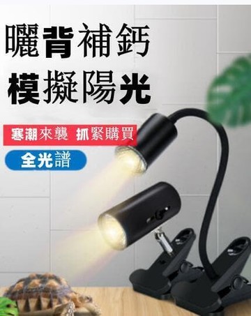 新品特惠限時下殺 110v烏龜曬背燈烏龜燈小龜燈照暖燈uvauvb太陽燈爬寵蟲補鈣紫外