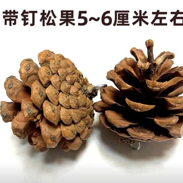 ⚡⚡聖誕松果帶釘松果天然手工聖誕裝飾松果掛件攝影道具diy鸚鵡玩具
