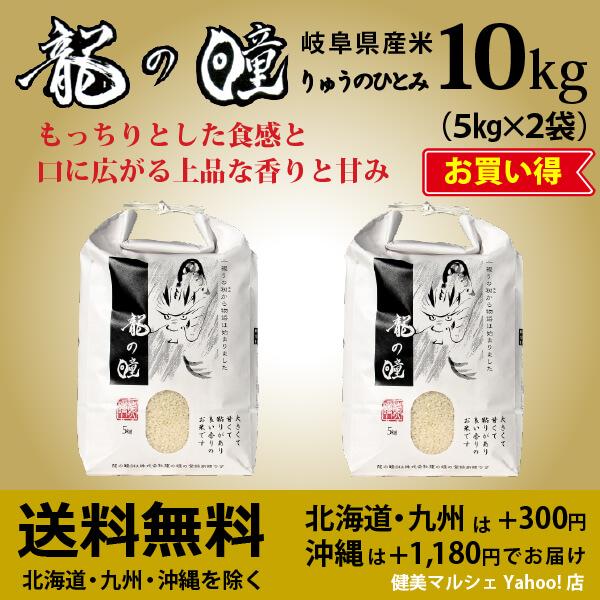新米入荷 龍の瞳 10kg （5kg×2袋） 令和5年産米 岐阜県産 白米  送料無料 一部地域除く