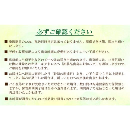 ふるさと納税 愛媛県 西条市 摘みたて完熟いちご「愛〜めぐみ〜」（約250ｇ×4トレー）