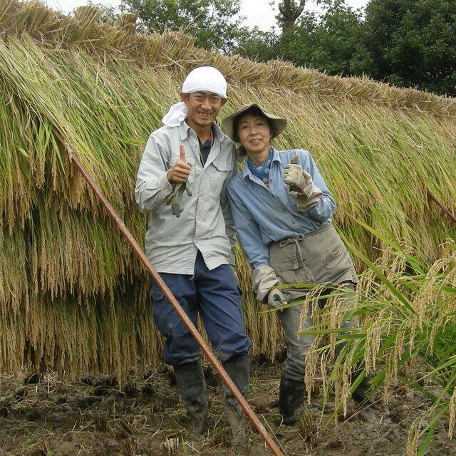 自然栽培 荏胡麻（えごま） 100g　無農薬 無肥料 国内産 えごまの実 エゴマの実