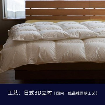 【羽絨制品廠直銷】羽絨被95白鵝絨絲被子春秋被加厚冬被單人雙人