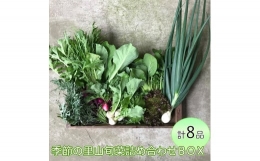 わたね　季節の里山旬菜詰め合わせＢＯＸ（計８品）≪ギフト セット 野菜 無農薬 グルメ≫※着日指定不可