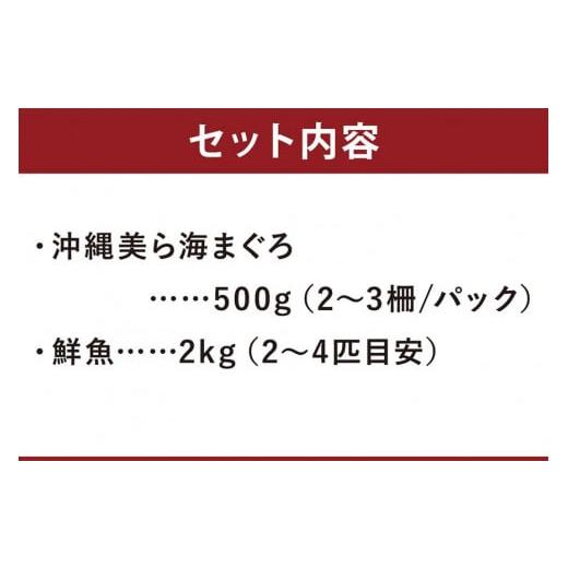 ふるさと納税 沖縄県 那覇市  沖縄美ら海まぐろと旬の沖縄鮮魚セット