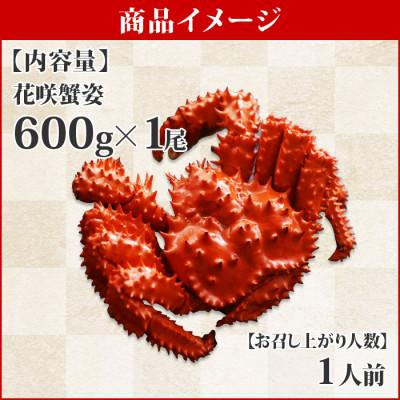 ふるさと納税 弟子屈町 花咲ガニ 1尾 姿 約600g 蟹ハサミ・ガイド付 ボイル済み 北海道 弟子屈町 1304