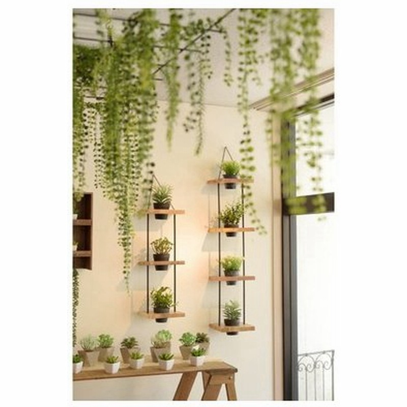 ハンギングプランター5段プランター 壁掛け ガーデニング ラック吊り下げ プラントハンガー 鉢置き 鉢台 おしゃれ 雑貨 インテリア Ttz 315 通販 Lineポイント最大0 5 Get Lineショッピング