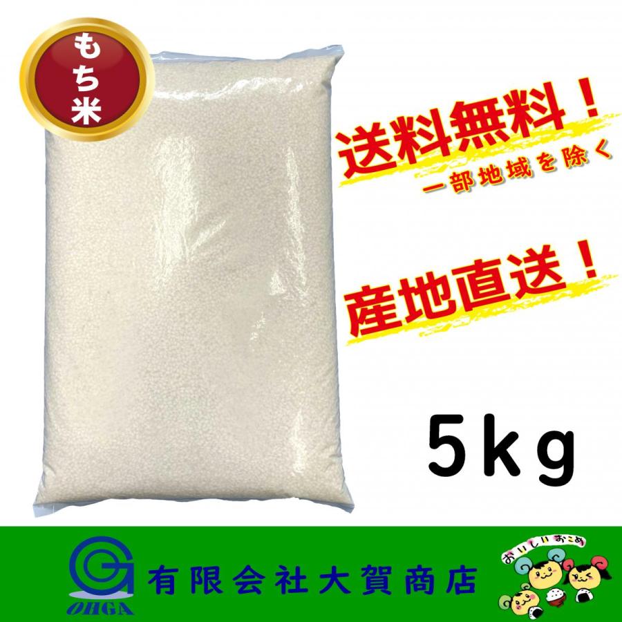 新米 5年産 米 お米 こがねもち 白米 小分け 5kg もち米 精米 送料無料 もち米5kg
