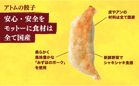 　餃子24個入り×2箱