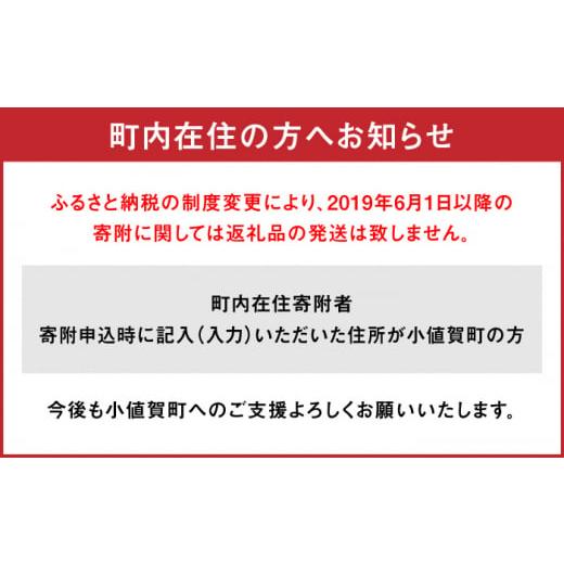 ふるさと納税 長崎県 小値賀町 ＜先行予約＞  タカミメロン  約5kg（3〜5玉） フルーツ 果物 国産 小値賀町／な…