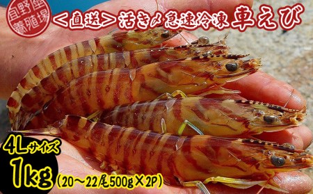 活き〆急速冷凍車えび　4Lサイズ　約1kg（20～22尾 500g×2P）