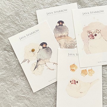 水彩鳥兒明信片 52 文鳥