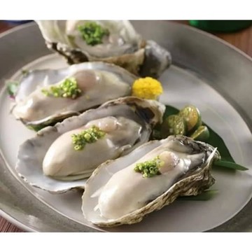 嚴選推薦 生食級全殼生蠔