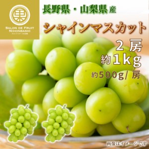 [最短順次発送]  スポット入荷 シャインマスカット 2房 約500g 計1kg 山梨県 マスカット 高糖度 果実箱 夏ギフト 夏ギフト お中元 御中元