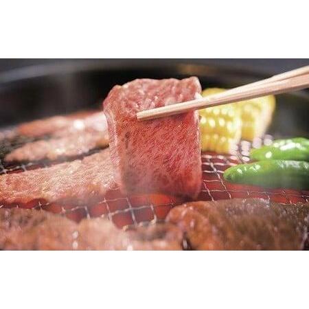 ふるさと納税 (3-4人前 焼肉 冷凍 国産牛 焼肉 丹波牛 焼肉 赤身 焼肉 霜降り 焼肉 焼肉500g 焼肉3~4人前 京都 .. 京都府