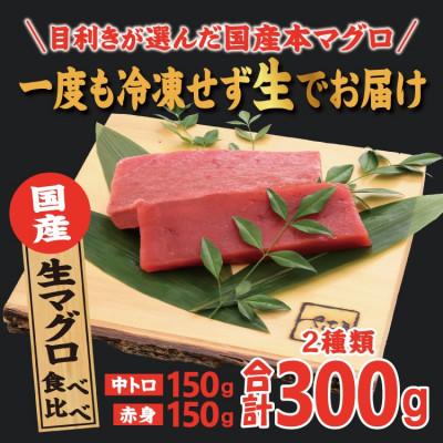 ふるさと納税 越前町 国産生本マグロ 中トロと赤身 2種セット 合計300g