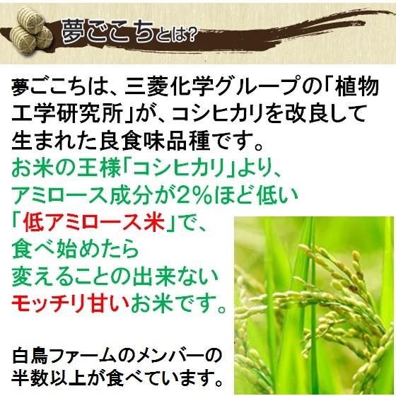 令和５年産 特別栽培米 岐阜県産 夢ごこち 玄米10Kg（レビューで増量）北海道 沖縄 離島は追加送料