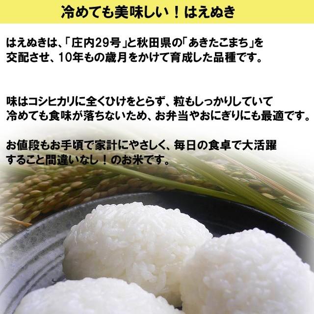 新米 はえぬき 精米 10kg（5kg×2）会津産 令和5年産 お米 ※九州は別途500円・沖縄は別途1000円