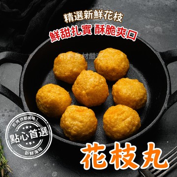 【胖胖食材】花枝丸600g/包 烤肉 必備 炸物