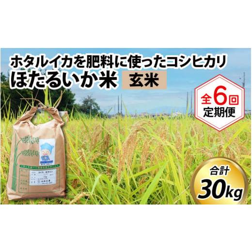 ふるさと納税 富山県 滑川市 ほたるいか米（玄米５kg）×6回 計30kg