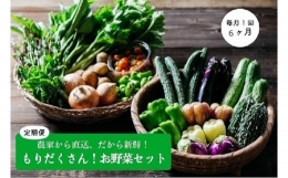 もりだくさんお野菜セット［6回定期便／5～10月］