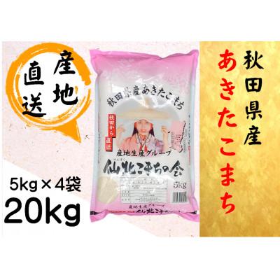 ふるさと納税 大仙市 秋田県産あきたこまち　精米20kg(5kg×4袋)