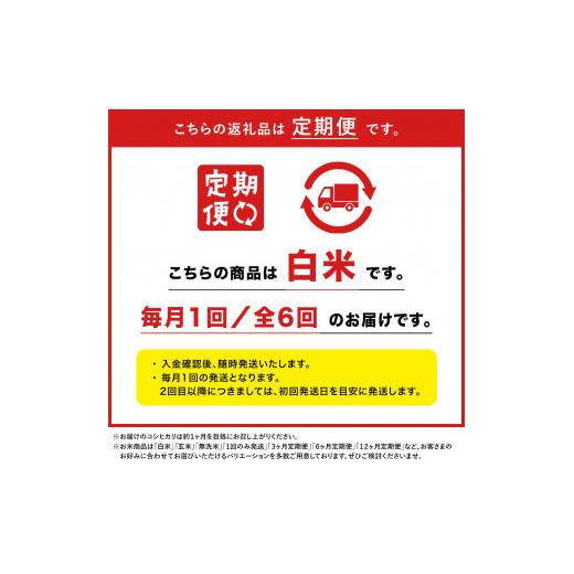 ふるさと納税 新潟県 湯沢町 令和5年産谷川連峰の清流で育ったブランド米「福ちゃん米」 