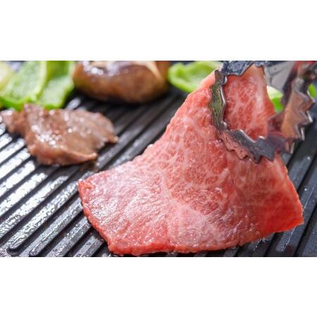 ふるさと納税 定期便 6回 訳あり ロース カルビ 焼肉 切り落とし A4〜A5 博多和牛 500g 配送不可 離島 福岡県朝倉市