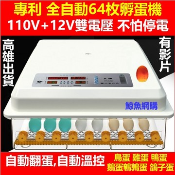 64枚全自動 孵蛋機 孵蛋器 高雄現貨🛑附發票保固一年110V+12V 雞蛋孵化器 鳥蛋 鴨蛋 鵝蛋 蘆丁雞 鸚鵡 鵪鶉