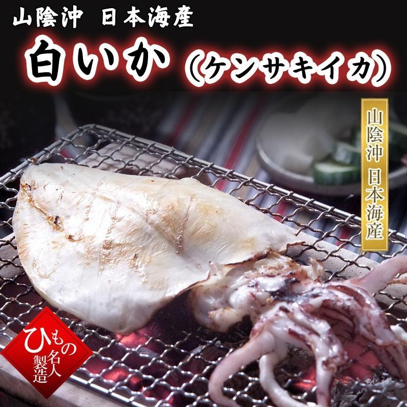 白いか（ケンサキイカ）90g 干物（単品） お取り寄せグルメ  山陰沖日本海産（鳥取県・島根県産）