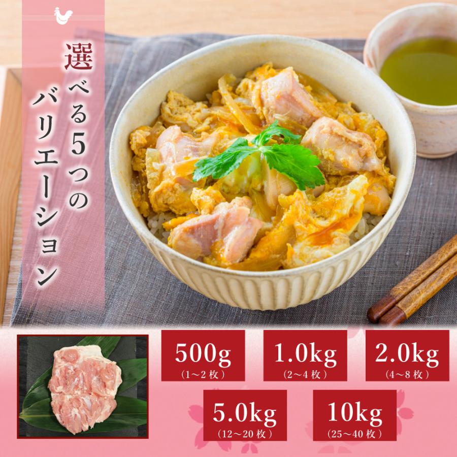 鶏肉 国産 もも ブランド鶏 プレゼント ギフト 取り寄せ 御祝 焼き鳥 桜姫 もも肉 500g