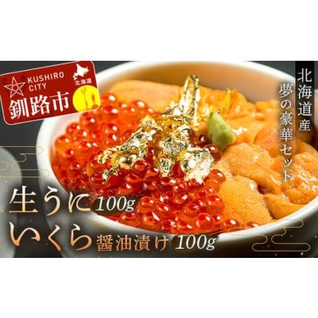 ふるさと納税 塩水うに (生ウニ) 100g いくら 昆布醤油漬け 100g F4F-1572 北海道釧路市