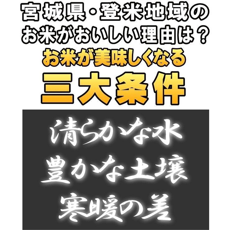 新米 令和5年産 宮城県 登米産  ひとめぼれ 宮城県認証 白米 25kg  無洗米 25kg 要選択 ※沖縄県送料別途3,000円 ◆デザインポリ袋仕様◆