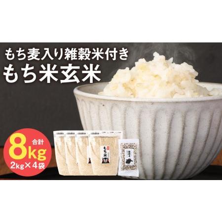 ふるさと納税 熊本県 菊池産 もち米 玄米 2kg×4袋 雑穀米 200g 計8.2kg ヒヨクモチ 熊本県菊池市