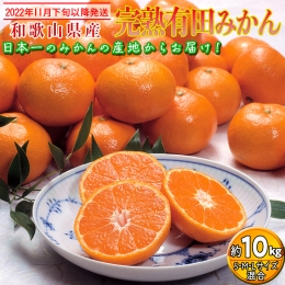 　和歌山県産 完熟有田みかん 約10kg｜くだもの 果物 フルーツ 柑橘 蜜柑 ミカン 産地直送 ※2022年11月下旬～2023年1月上旬に順次発送予定 ※離島への配送不可 ※着日指定不可