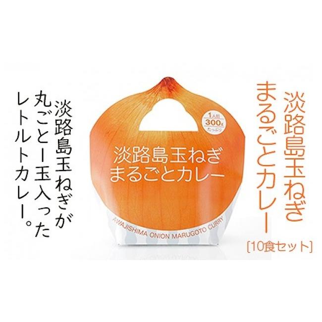 ふるさと納税 兵庫県 南あわじ市 淡路島玉ねぎまるごとカレー10食セット