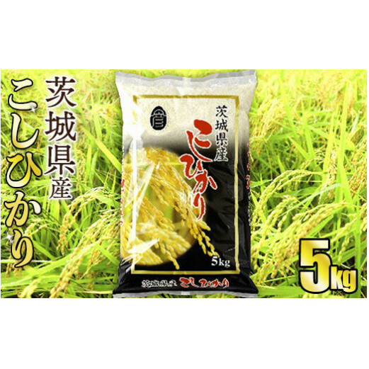 令和5年産茨城コシヒカリ　5kg