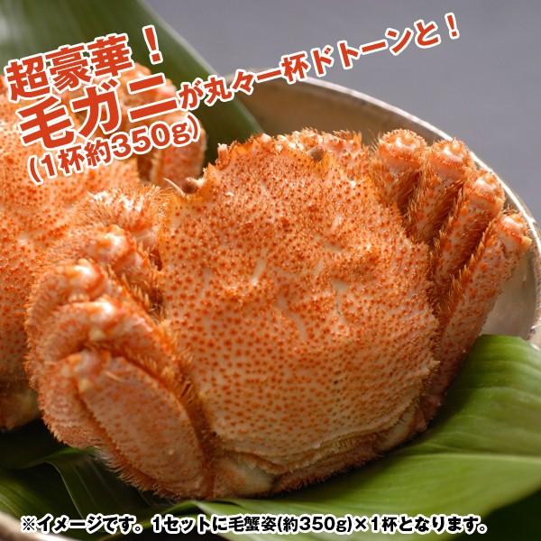 かに鍋セット4人前「毛蟹」(送料込) (毛ガニ姿一杯350g,,,かに,カニ,紅鮭,海老,蟹真丈,いか真丈,鳥モモ肉,ダシ,うどん,ギフト,お歳暮,クール便)