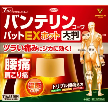 [2nd-Class OTC Drug] Vantelin Kowapat EX Hot Large