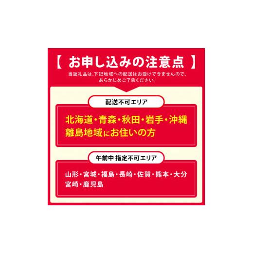 ふるさと納税 奈良県 吉野町 柿の葉寿司(20個入り)