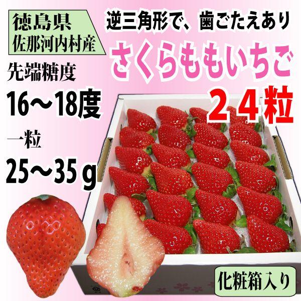 いちご さくらももいちご イチゴ 苺 24粒 化粧箱入り 送料無料 12〜4月にお届け
