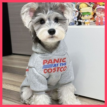 🌈愛寵✨秋冬寵物 | 韓版字母休閒潮流衛衣 | 加絨保暖居家貓咪狗狗外套 | 大型犬