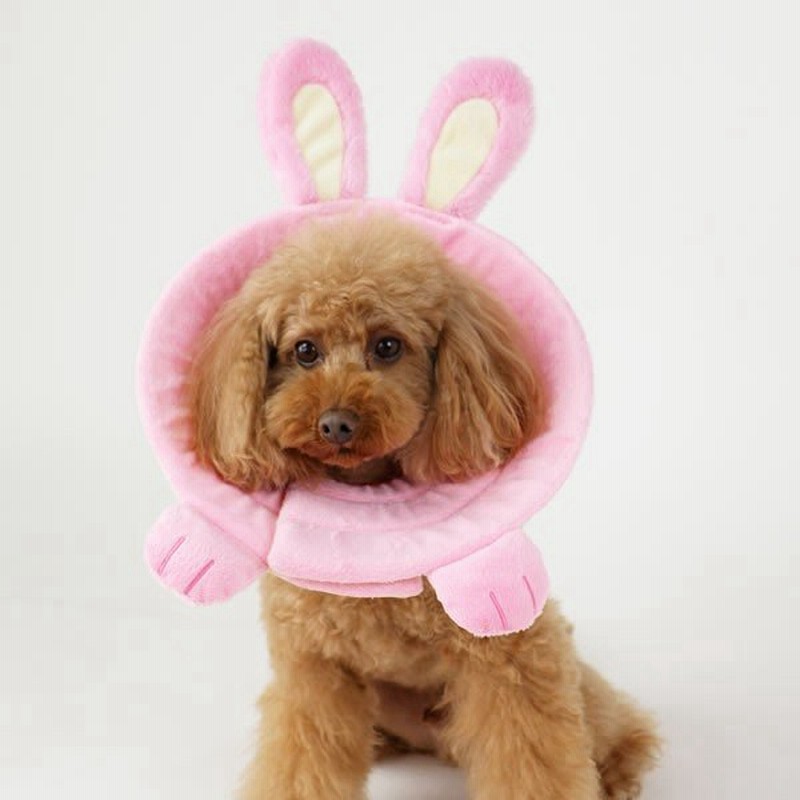エリザベスカラー 小型犬 かわいい うさぎ ３ｓ ｓサイズ用 ソフト 犬 猫 ペットパラダイス 通販 Lineポイント最大0 5 Get Lineショッピング